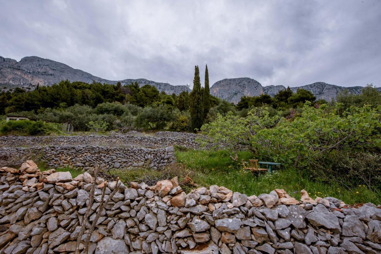 Pension Kathi Brist Exterior foto